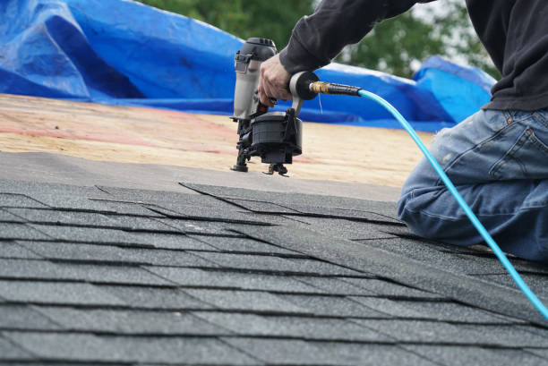 Best Roof Gutter Cleaning  in Hrisburg, AR
